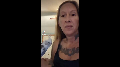 Cockatiel Hates His Feet Being Touched