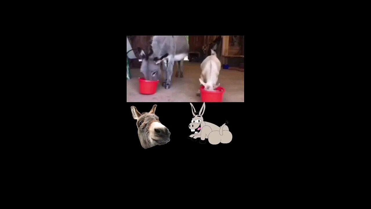 ih8h8j8h