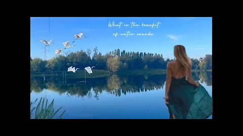 What are the benefits of water sounds..? | The sound of flowing river water with relaxing music |