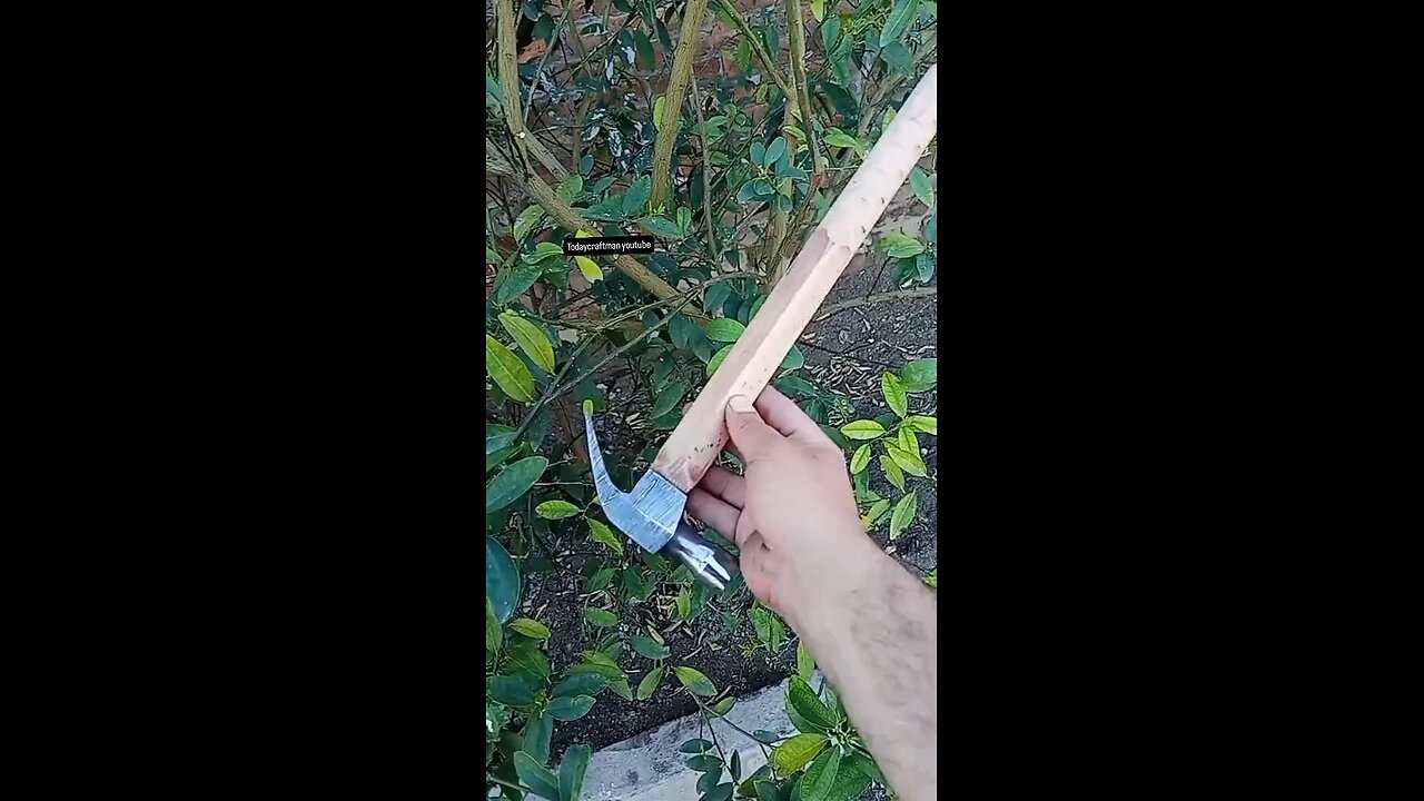 claw hammer available for order