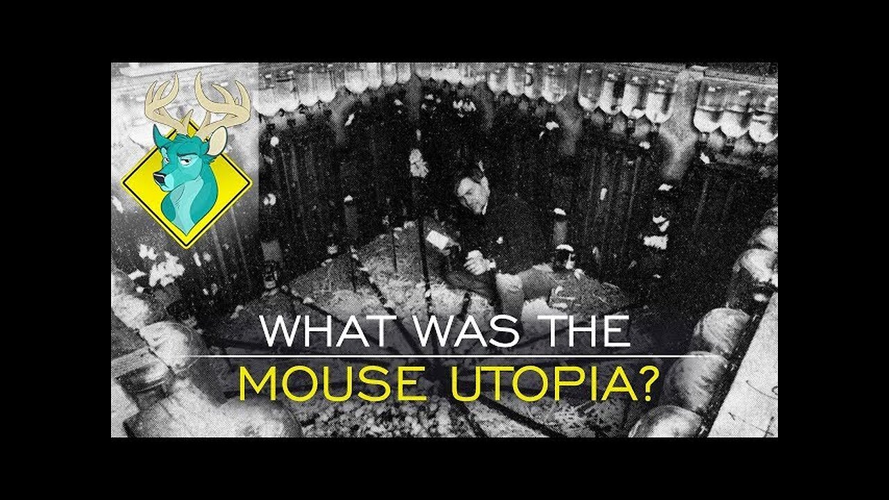 TL;DR - What Was the Mouse Utopia? (mirror)