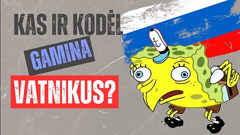 Kas ir kodėl gamina „vatnikus“?