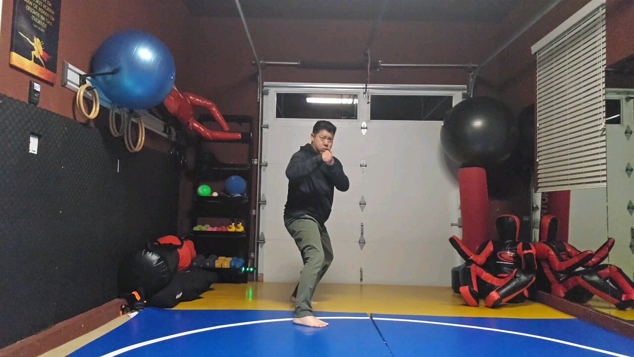 WTD 2 Step Kick Combination 87