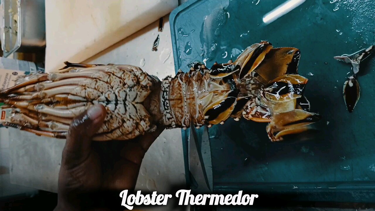 lobster 🦂 😍