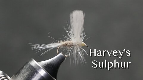 Harvey’s Sulphur: a George Harvey dry fly pattern