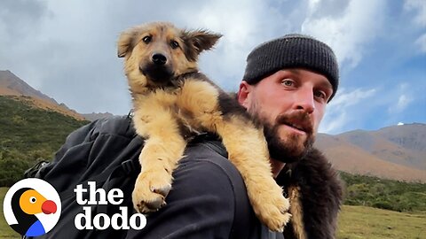 Guy Sleeps In Bed Full Of Rescue Animals | The Dodo