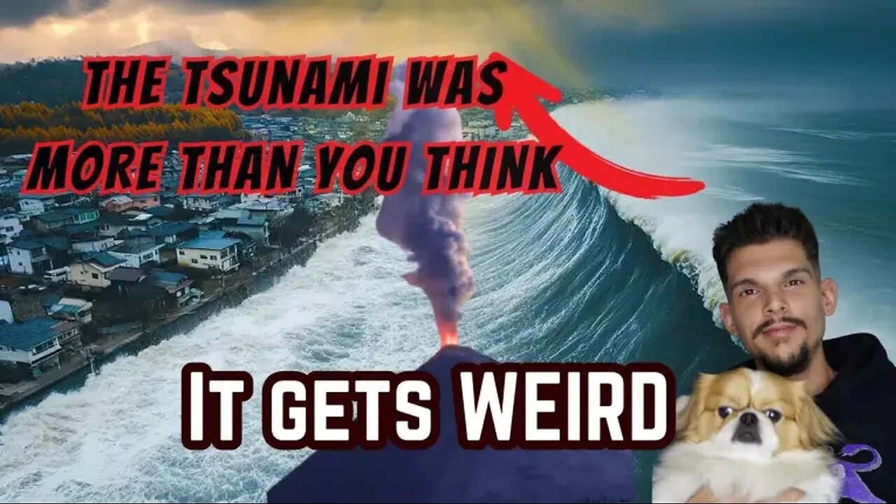 Animals acting CRAZY👀 from tsunami... but its even weirder than that !!🫣
