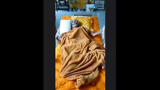 How in the heck is this dude still alive? 😳💀