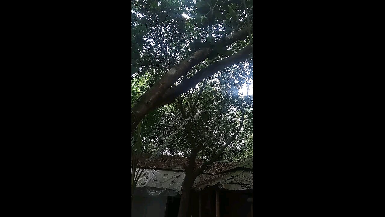 wow nature tree