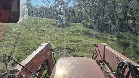 BUSH HOGGIN FOR CHILDREN EP-5