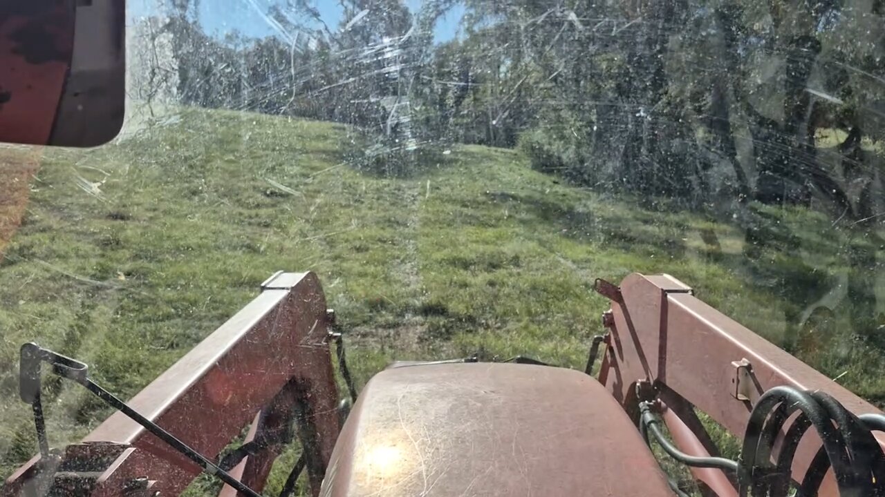 BUSH HOGGIN FOR CHILDREN EP-5