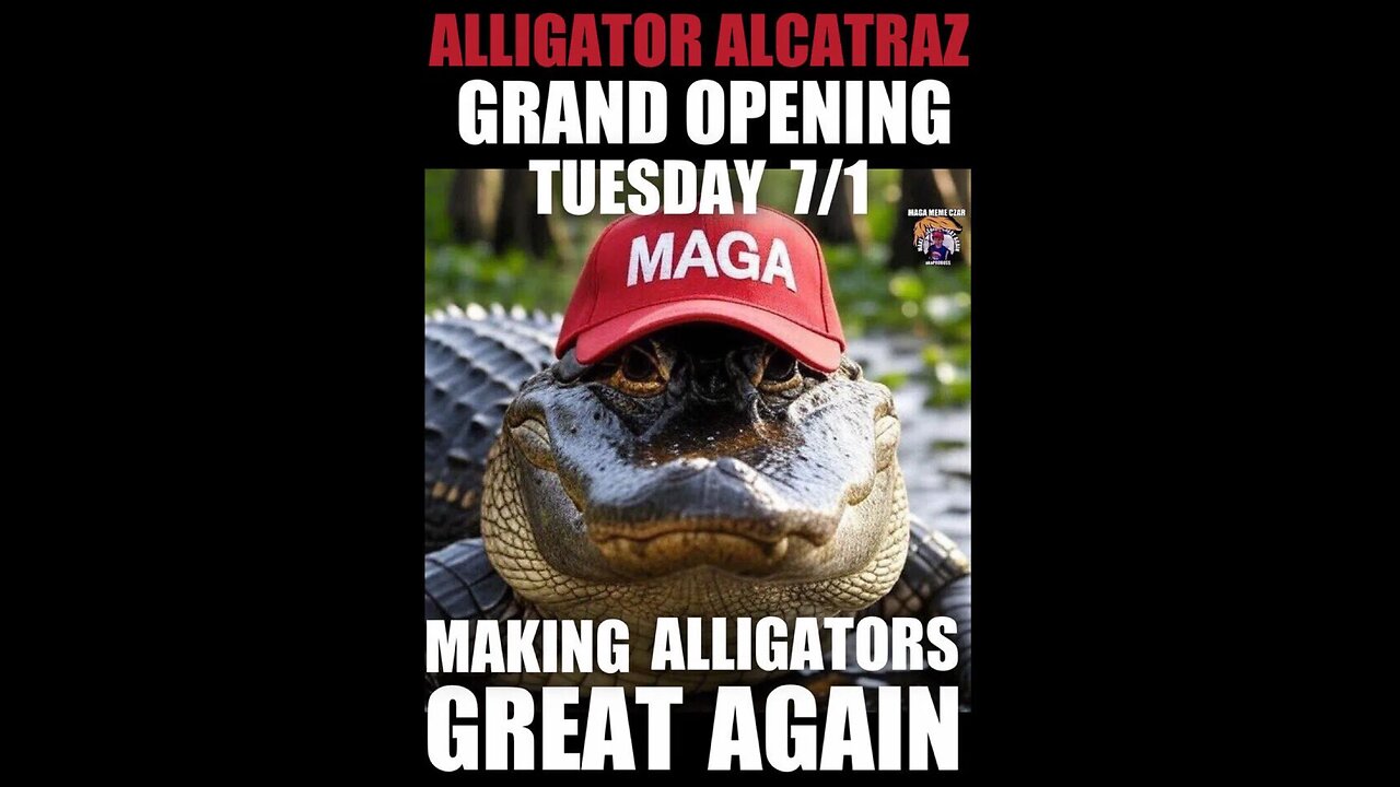 Black pillers think you're dumb