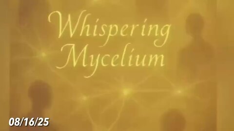#WHISPERINGMYCELIUM #Korolev 08/16/25