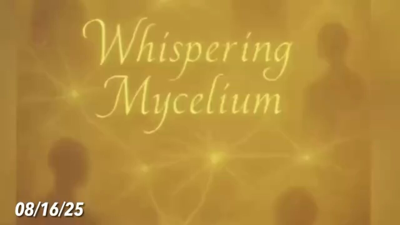 #WHISPERINGMYCELIUM #Korolev 08/16/25