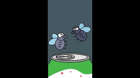 Every Fly For Some Reason