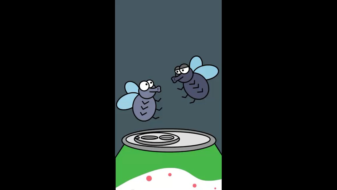 Every Fly For Some Reason