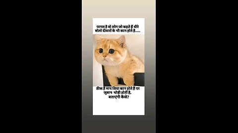 दीवारो के भी कान होते है