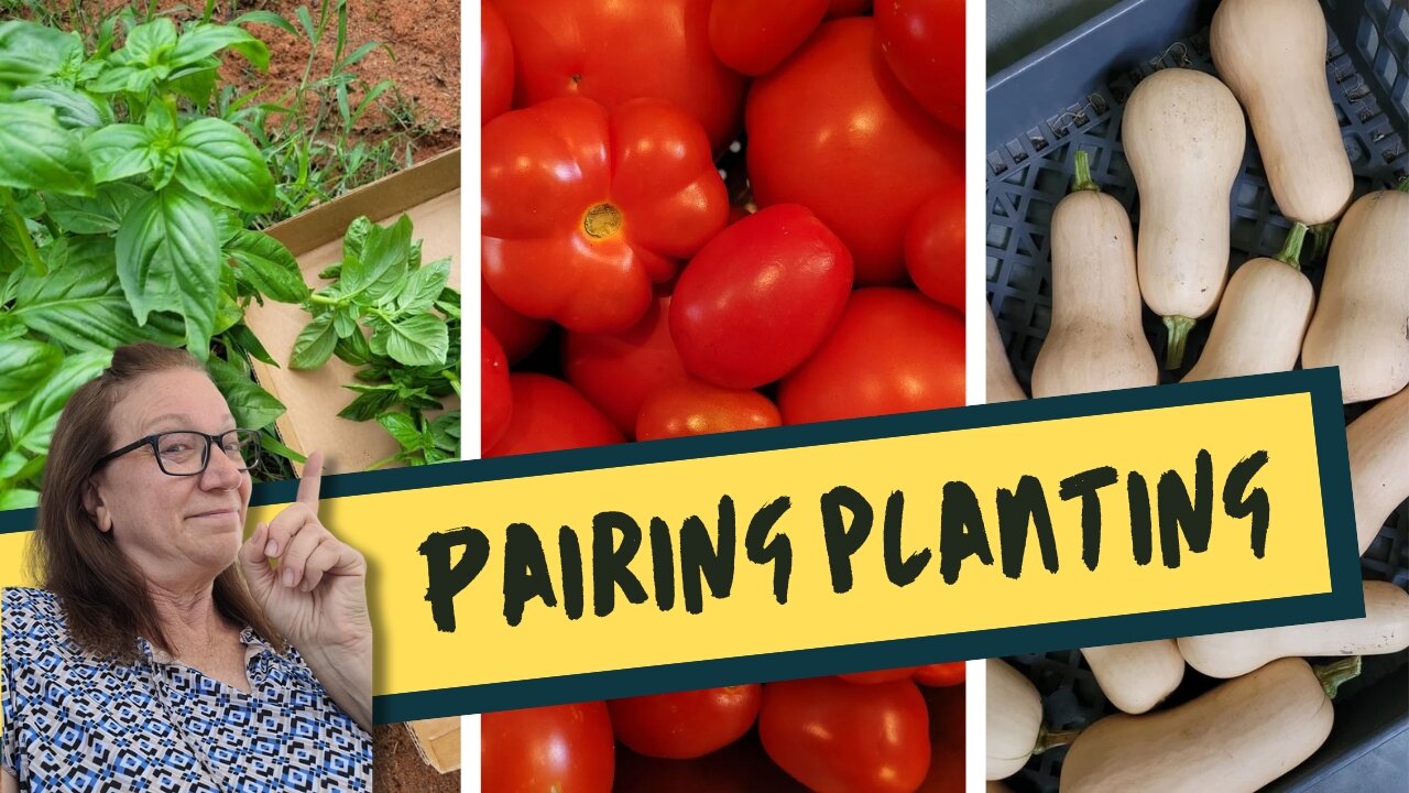 Plan for Pairing