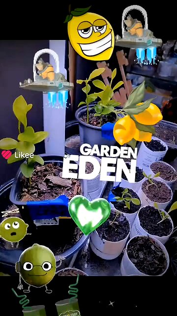 Space Monkeys love Mother Earth