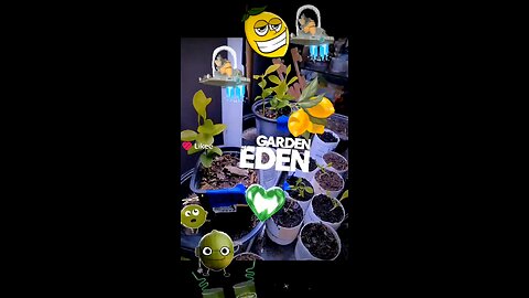 Space Monkeys love Mother Earth