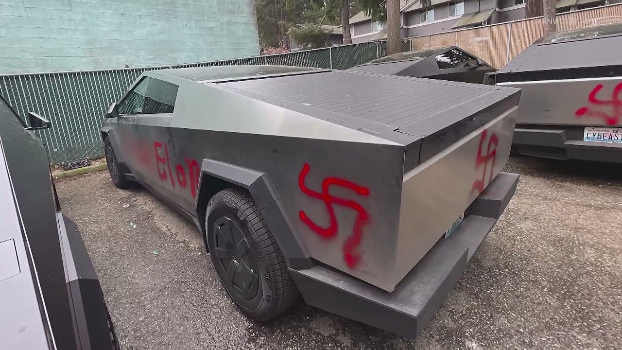 Tesla Fecal Art: Elon Musk Protest Goes Viral!