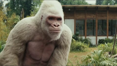 Jumanji Hollywood movie 🍿