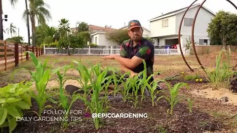 "Effective Techniques for Improved Garden Watering"