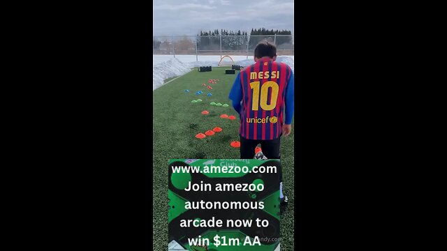 www.amezoo.com Join amezoo autonomous arcade now to win $1m AA