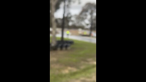 Bendigo Kart Club four