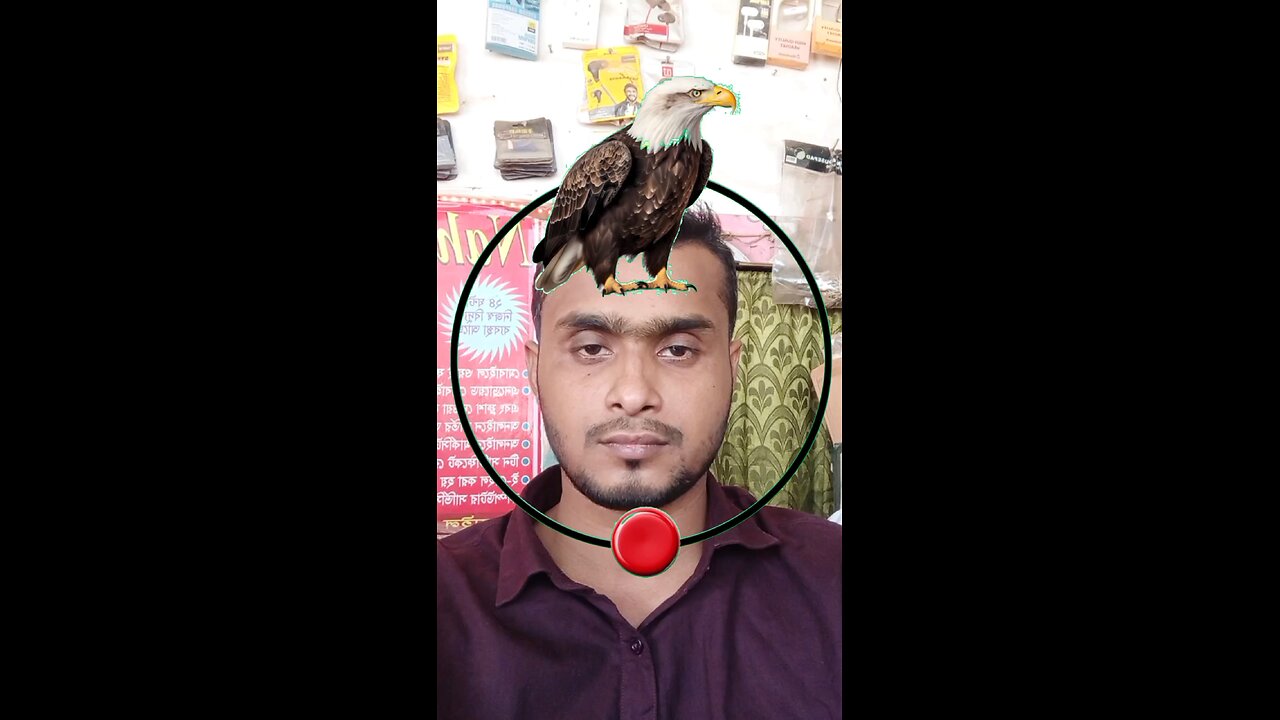 ঈগল পাখিটি উড়িয়ে দেখান ২৮ #reels #puzzle #challenge #viralreels #tending #viral