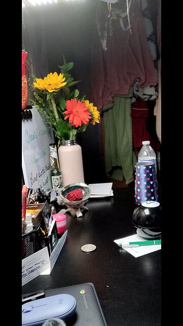 The yes/no I forgot for last video