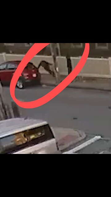 Apuñalan a exalcalde estadounidense y sufre heridas graves