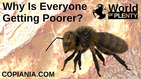 Why Is Everyone Getting Poorer