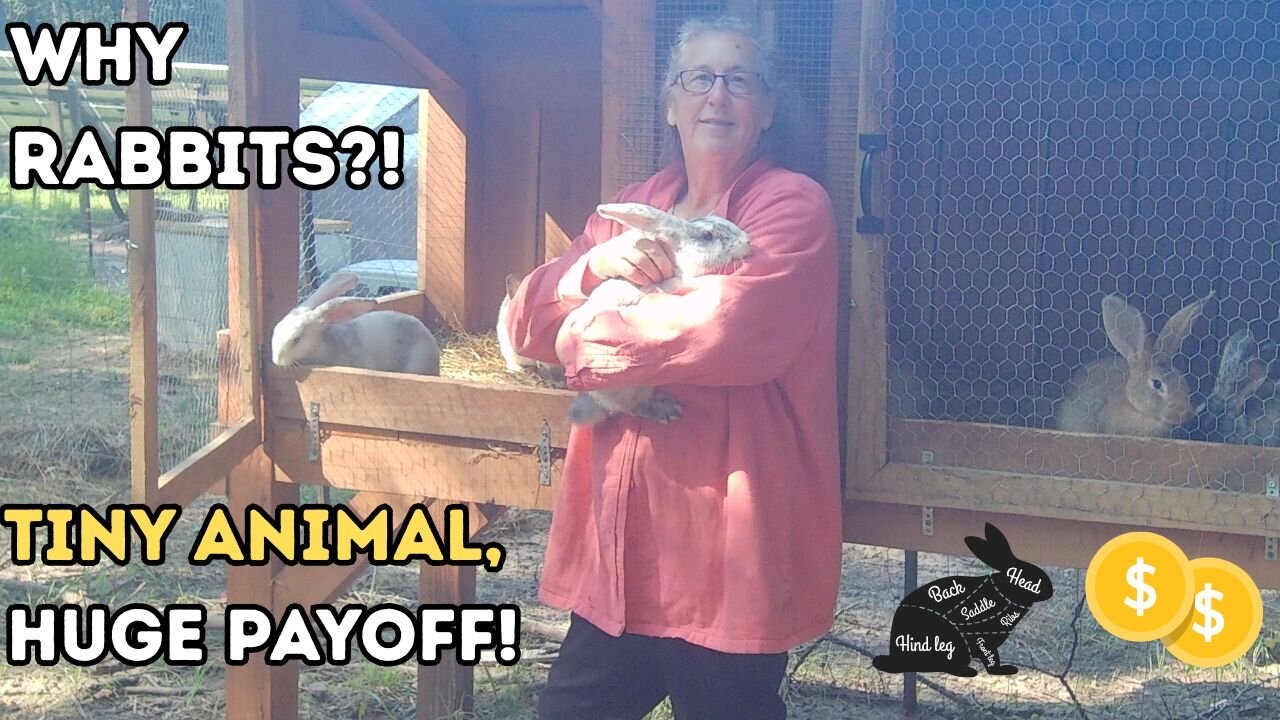 Micro Livestock Craze Is Here
