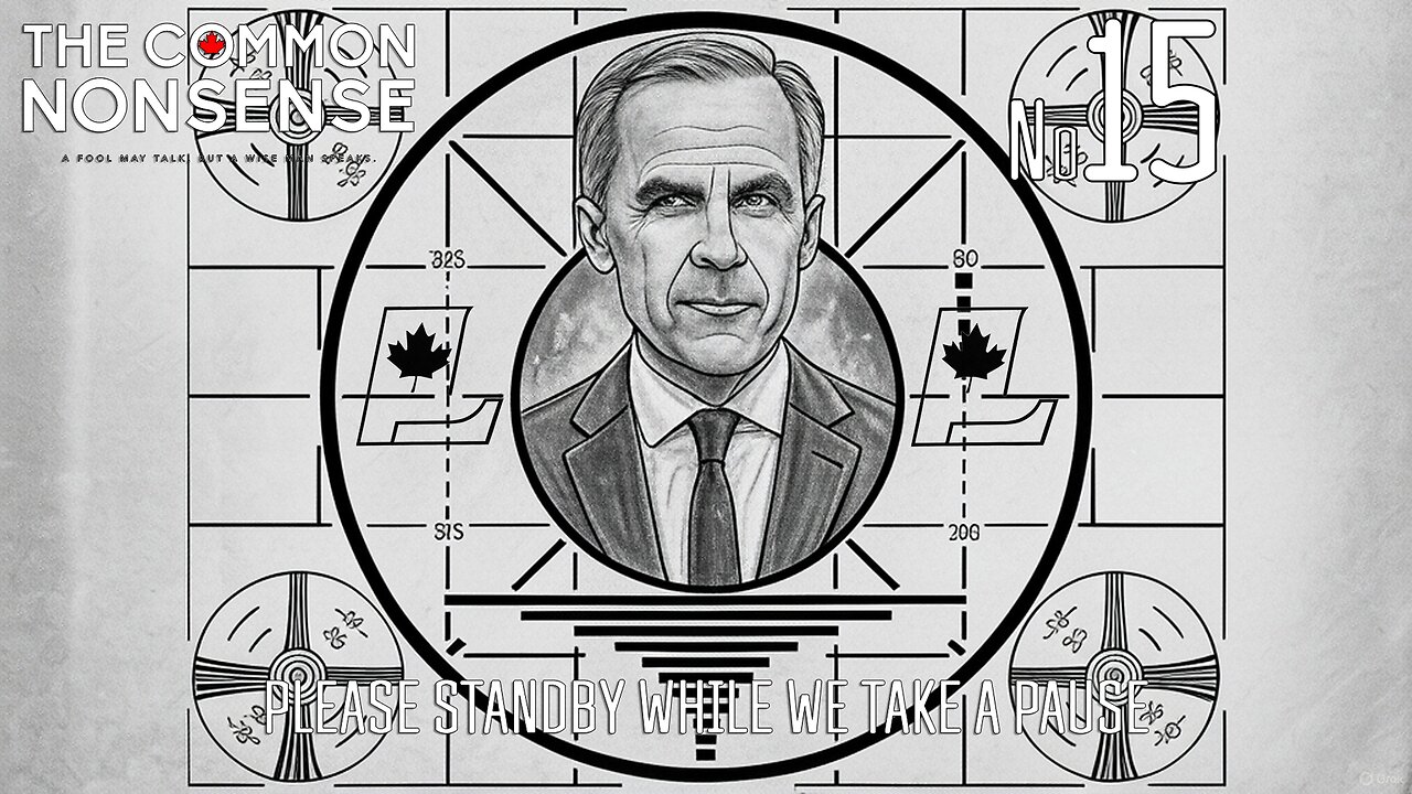 The Common Nonsense ~ Episode 015 ~ Please Stand By While We Take a Pause