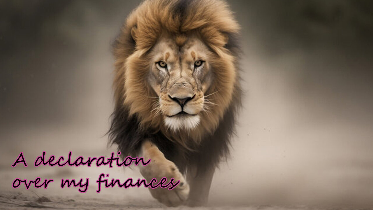 A declaration over my finances