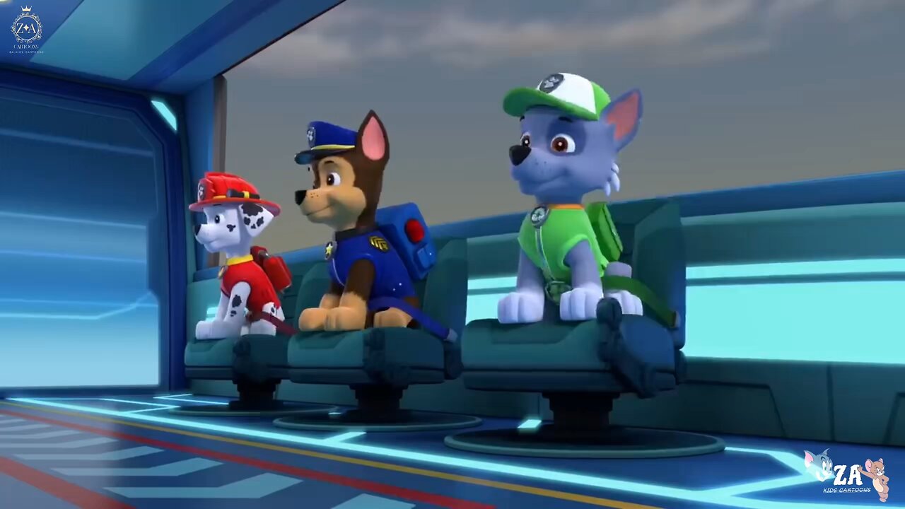 PAW Patrol Cartoons