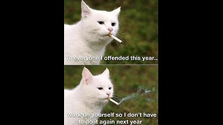 Did You Know It Would Get This Crazy