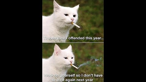 Did You Know It Would Get This Crazy