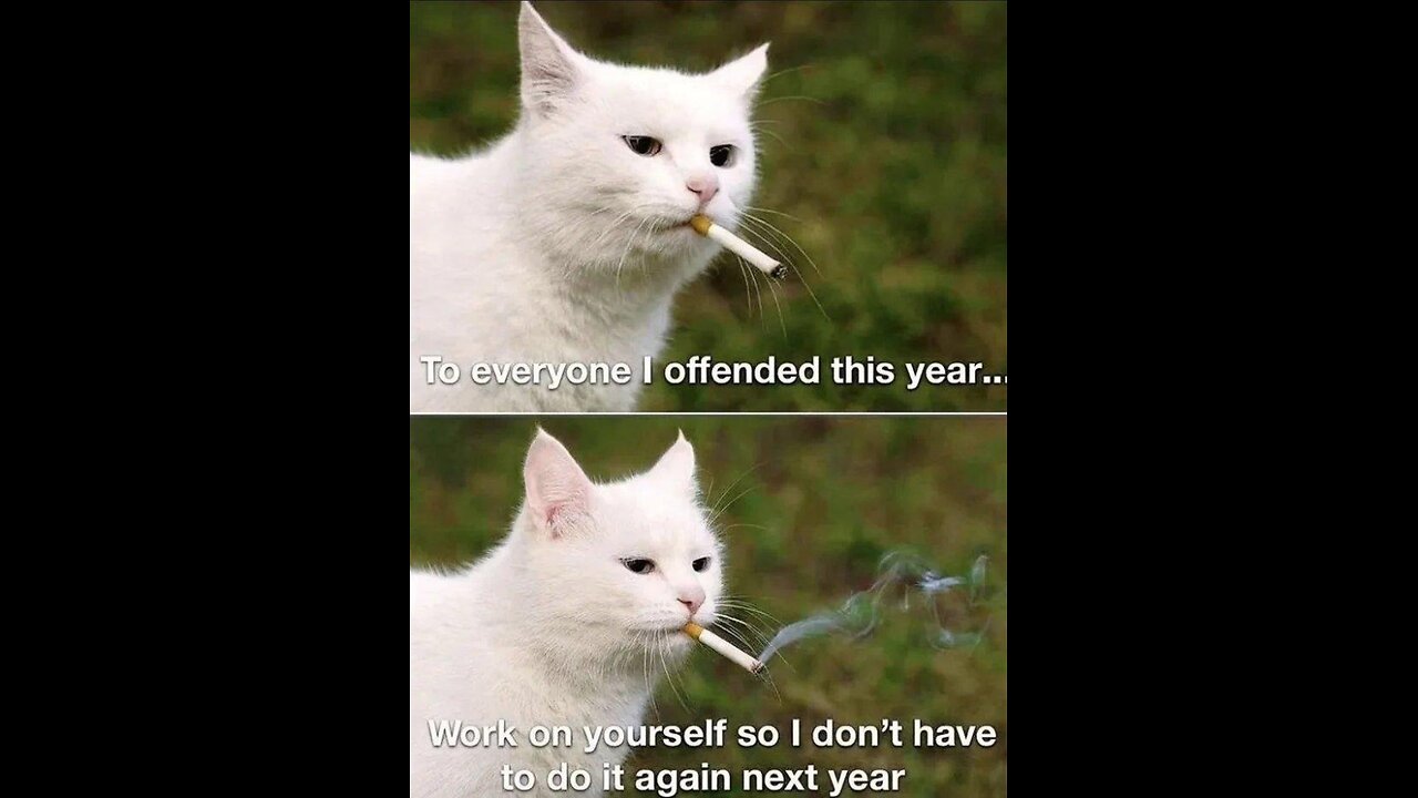 Did You Know It Would Get This Crazy