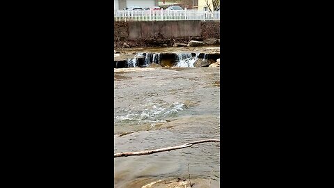 Spring Stream