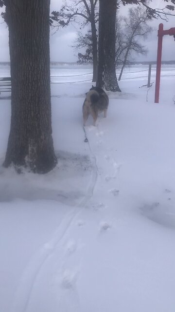 Thursday January 1, New Year day: Those who become Christians become new persons.