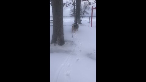 Thursday January 1, New Year day: Those who become Christians become new persons.