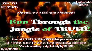 Run through the Jungle of Truth - TRUTH by WDR - Ep. 529