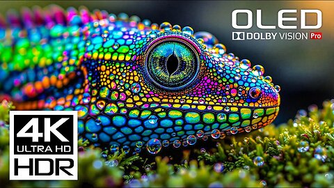 This Will Challenge Your Screen Most Amazing 4K HDR Dolby Vision Video at 120 FPS