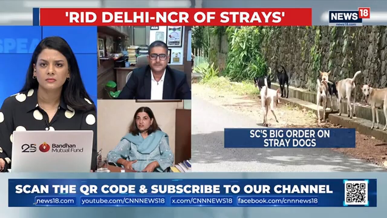 Supreme_Court_s_Controversial_Order__Stray_Dogs_to_be_Removed_from_Delhi_NCR_in_8_Weeks___News18