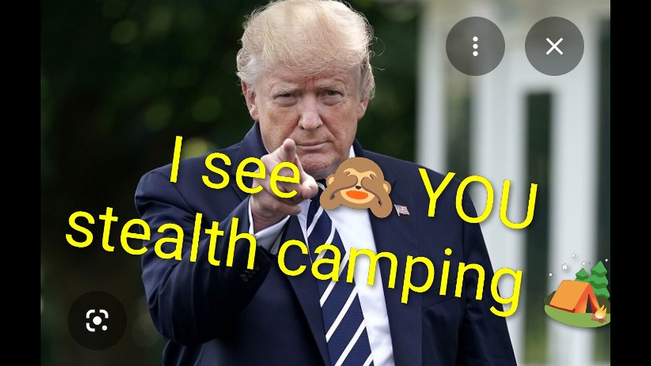 Persecuted by The Donald 🤯🫠