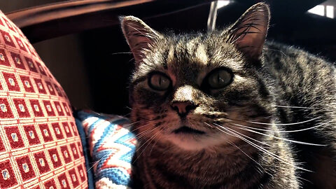 February 7, 2020 - Another February Day in the Sun