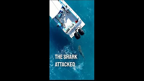 Massive Shark Attack On Boat