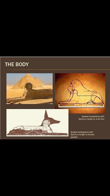 Was The Head Of The Sphinx A Lion?